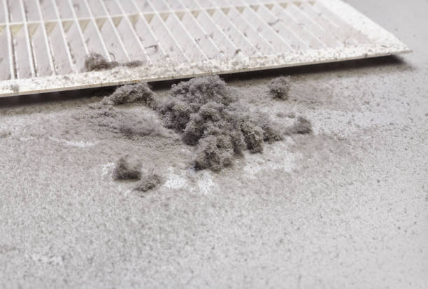Best Affordable Duct Cleaning Services  in Island Lake, IL