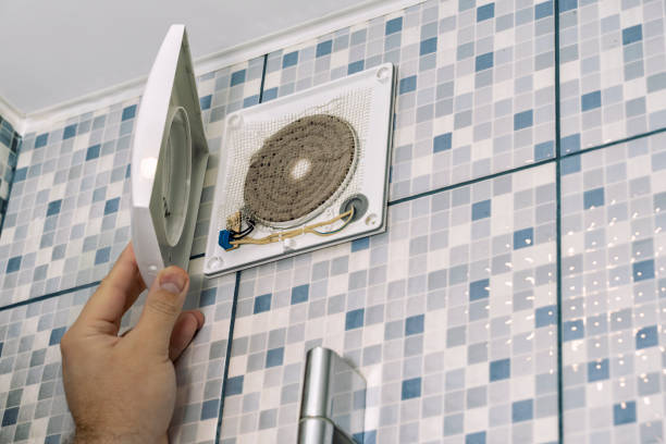 Best HVAC Duct Inspection Services  in Island Lake, IL