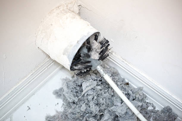 Best Professional Duct Cleaning Services  in Island Lake, IL
